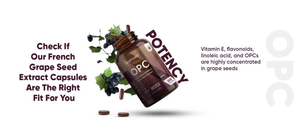 Grape Seed Extract Capsules - 240 Vegan Capsules (8 Months Supply) - 500mg Grapefruit Seed Extract per Capsule - 95% OPC (Oligomeric Proanthocyanidins) - Polyphenols Supplement for Men & Women. - OPC French Grape Seed Extract Capsules