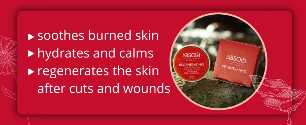 Absolei Calendula Ointment Natural Ointment for Burns Wounds and Cuts with Aloe Vera and St John's Wort 40 ml - wound healing ointment for skin skin repair cream skin healing cream scar healing cream