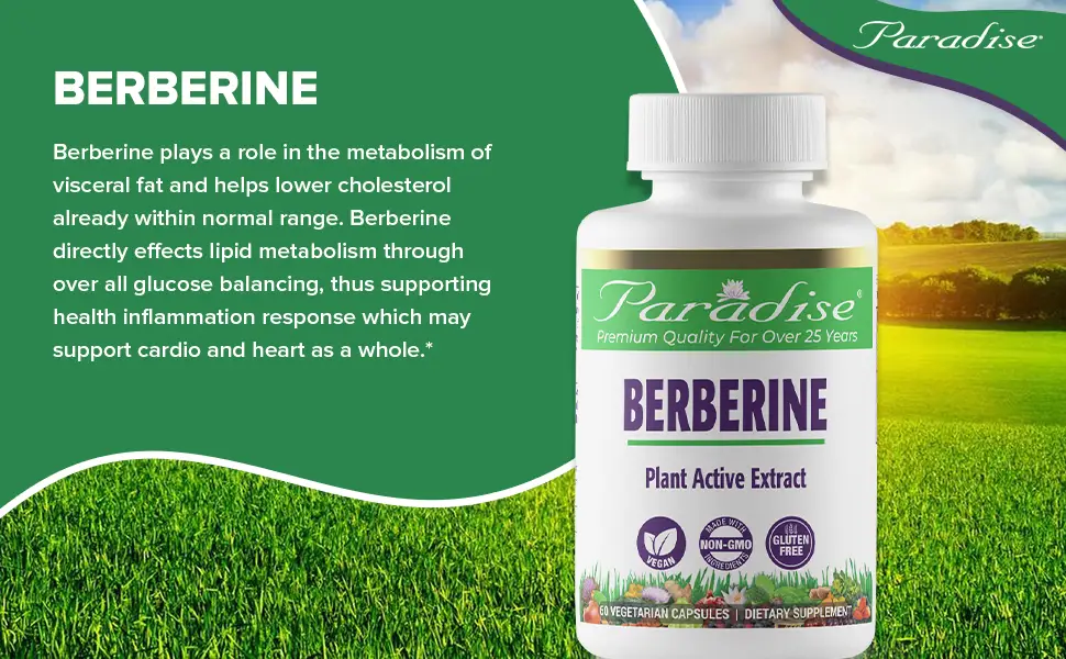 Paradise Herbs Berberine 60 Vegetarian Capsules - Paradise Herbs