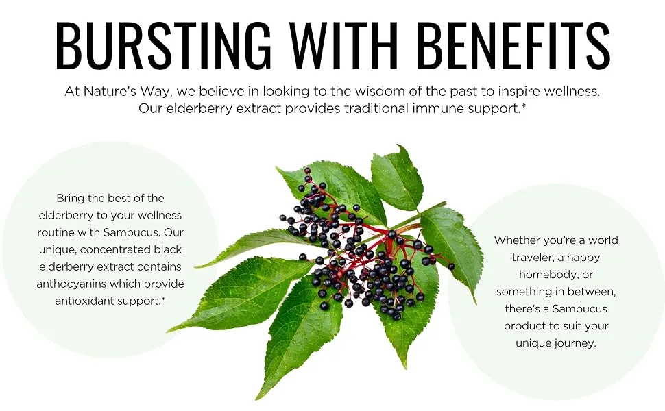 Nature's Way Sambucus Gummies for Kids Standardized Elderberry 60 Gummies - Benefits