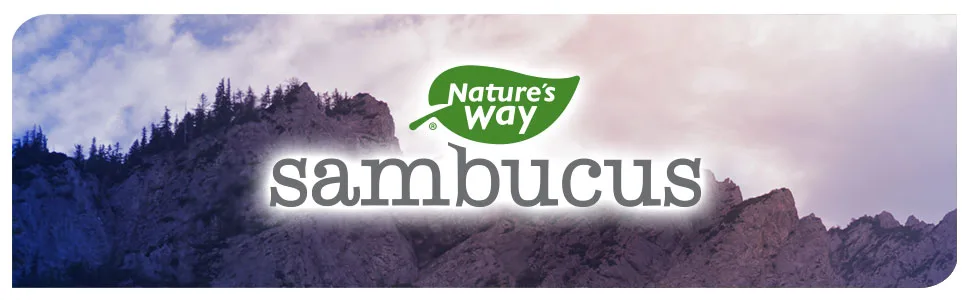 Nature's Way Original Sambucus Standardized Elderberry - 8 fl oz - Nature