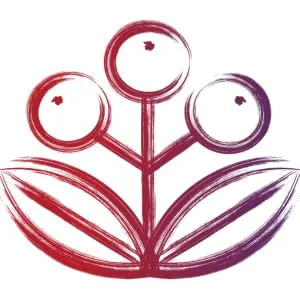 ElderMune Sambucus Elderberry - 60 Gummies - Zhou Elder-Mune Sambucus Elderberry Gummies Antioxidant Flavonoids Immune Support Zinc Vitamin C