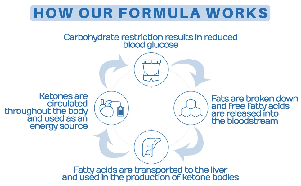 Herb Tonics 5x Potent Apple Cider Vinegar - 120 Capsules - How our formula works.