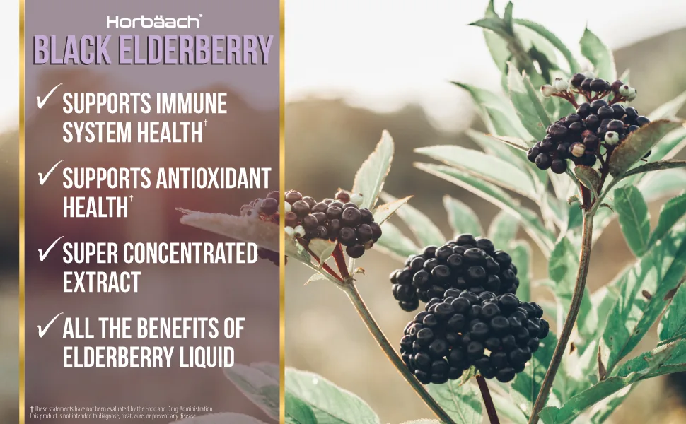 Horbaach Black Elderberry 2000mg - 180 Capsules - super concentrated extract