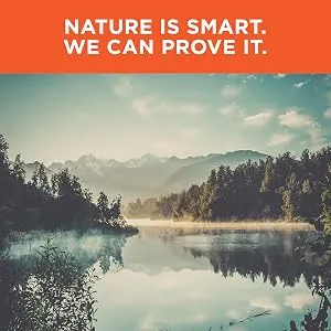 NatureWise Curcumin Turmeric 2250mg - 95% Curcuminoids & BioPerine Black Pepper Extract for Advanced Absorption - Daily Joint and Immune Health Support - Vegan, Non-GMO, 180 Count[60-Day Supply] - Nature is Smart. We Can Prove it.