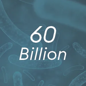 Physician's Choice Probiotics 60 Billion with Prebiotic Fiber Blend - 30 Capsules - 60 billion CFUs