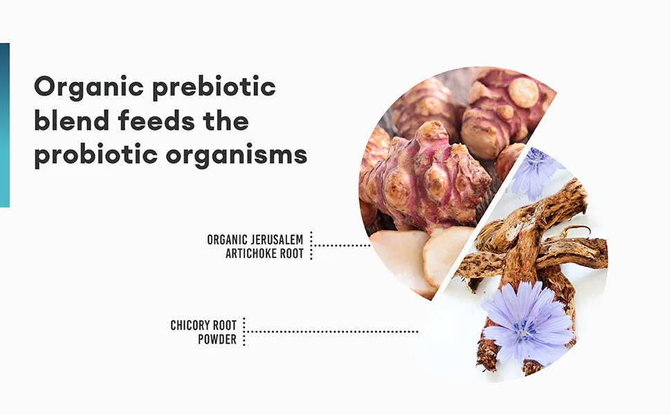 Physician's Choice Probiotics 60 Billion with Prebiotic Fiber Blend - 30 Capsules - prebiotics feed probiotics jerusalem artichoke root chicory root powder prebiotic