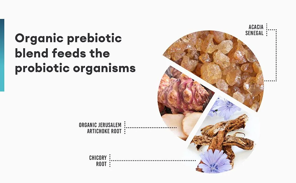 Physician's Choice Probiotics 60 Billion with Prebiotic Fiber Blend - 30 Capsules - prebiotics feed probiotics jerusalem artichoke root chicory root powder prebiotic