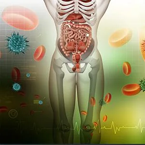 Doctor's Best Digestive Enzymes 90 Veggie Caps - product information 4