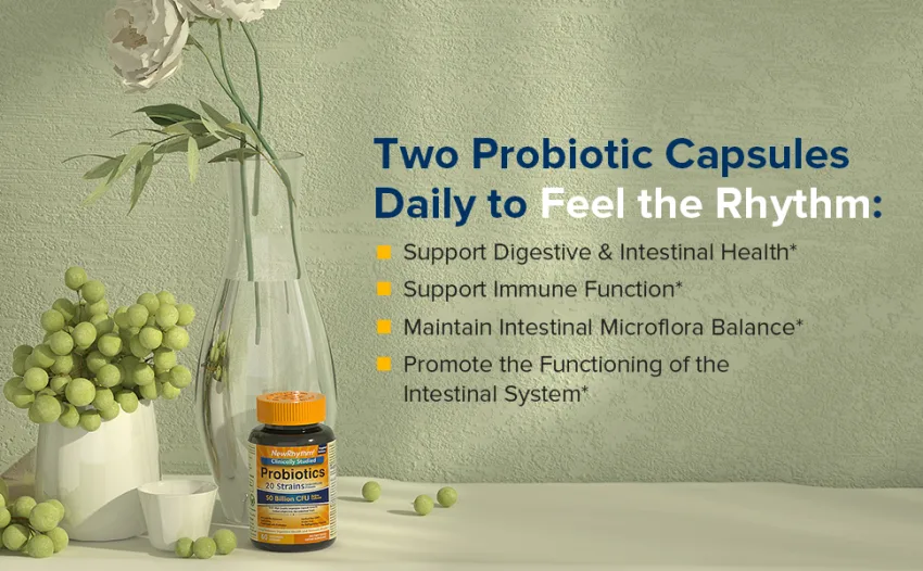 NewRhythm Probiotics 50 Billion CFU - 60 Capsule - NewRhythm Digestive Daily Probiotics supports digestive & intestinal health and immune function.*