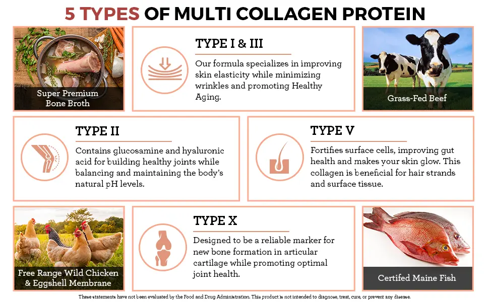 Multi Collagen Protein Powder Hydrolyzed - 16 Once - 5 Types