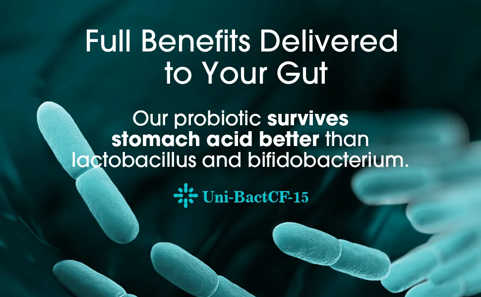 Probiotics for Women and Men - with Natural Lactase Enzyme & Prebiotic Fiber for Digestive Health - 80%+ Stronger Supplement for Gut Health Support - Vegan Raw Probiotic Formula, 3 Count of 60 Tablets - product information 9