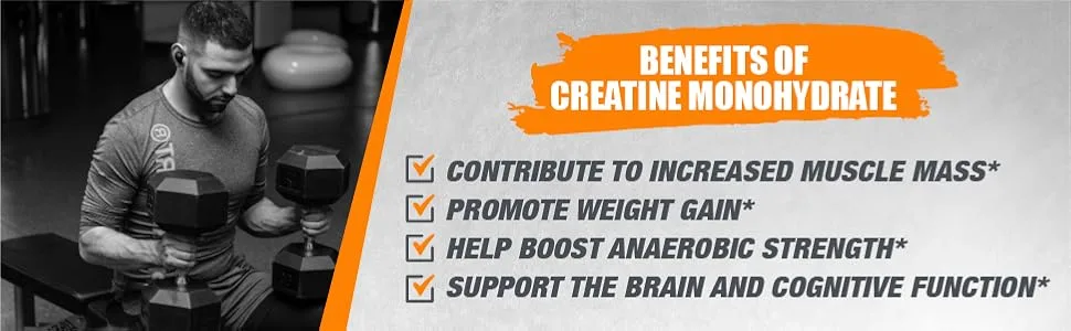 Bulksupplements Creatine Monohydrate Powder Micronized (1 Kilogram) - creatine monohydrate, micronized creatine, creatine supplements