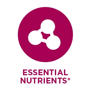 OLLY The Perfect Womens Gummy Multivitamin - 90 Gummies - image