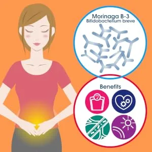 Genius Probiotics for Weight Loss -30 servings - product information 2