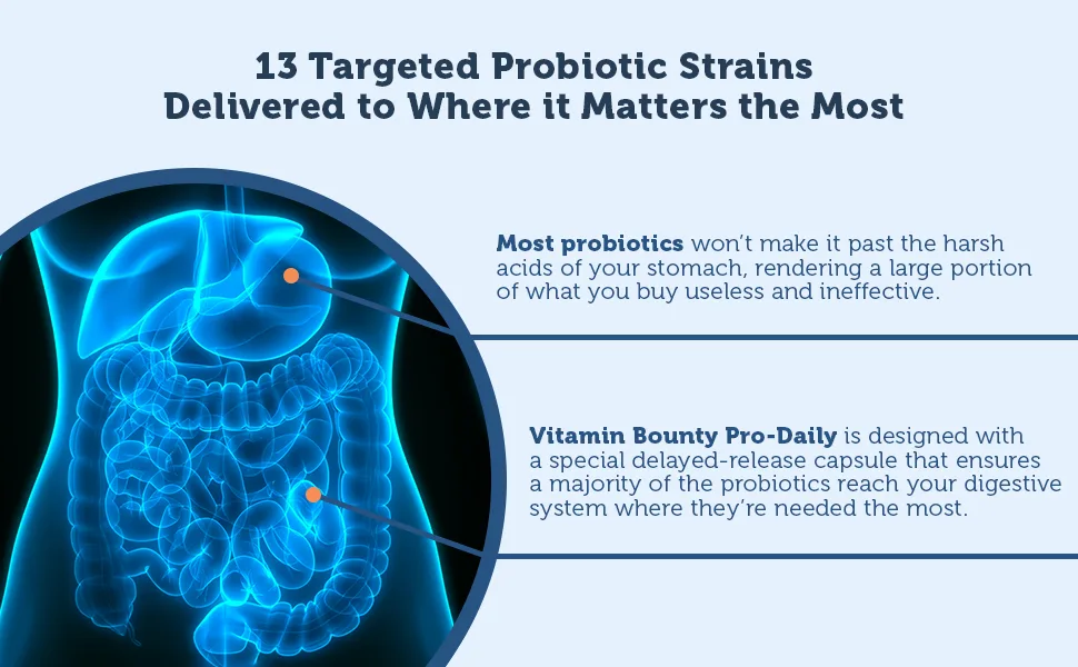 Vitamin Bounty Vitamin Bounty Prebiotics 50 Billion CFU - 60 Capsules - pro50 has 13 targeted probiotic strains