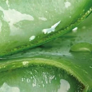 Nature Republic Soothing & Moisture Aloe Vera 92% Soothing Gel 10.56 fl oz (300 ml) - product information 2