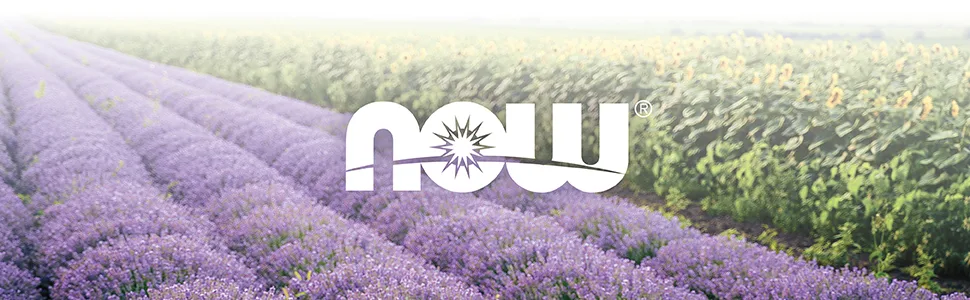 Now Foods Solutions USB Oil Diffuser 1 Diffuser - NOW, Lavender, Fields