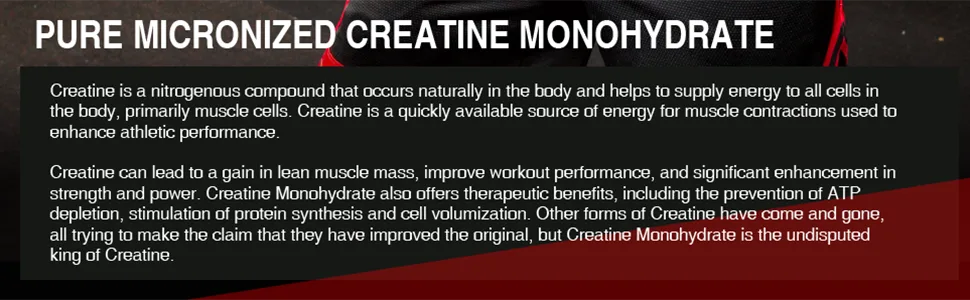 ALLMAX Nutrition Creatine Pharmaceutical Grade 3.53 oz (100 g) - pure micronized creatine monohydrate