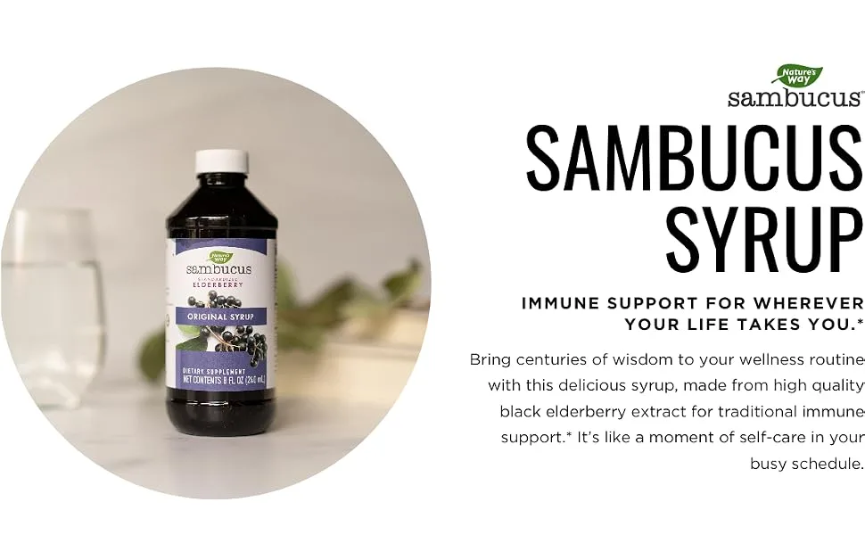 Nature's Way Original Sambucus Standardized Elderberry 8 fl oz (240 ml) - Original Syrup