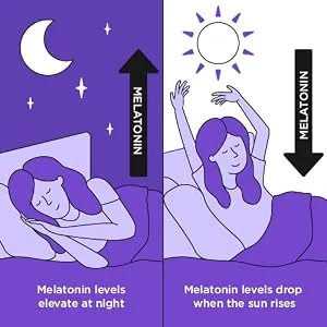 Natrol Melatonin Fast Dissolve Extra Strength Strawberry 5 mg 150 Tablets - Melatonin Fluctuates Night and Day