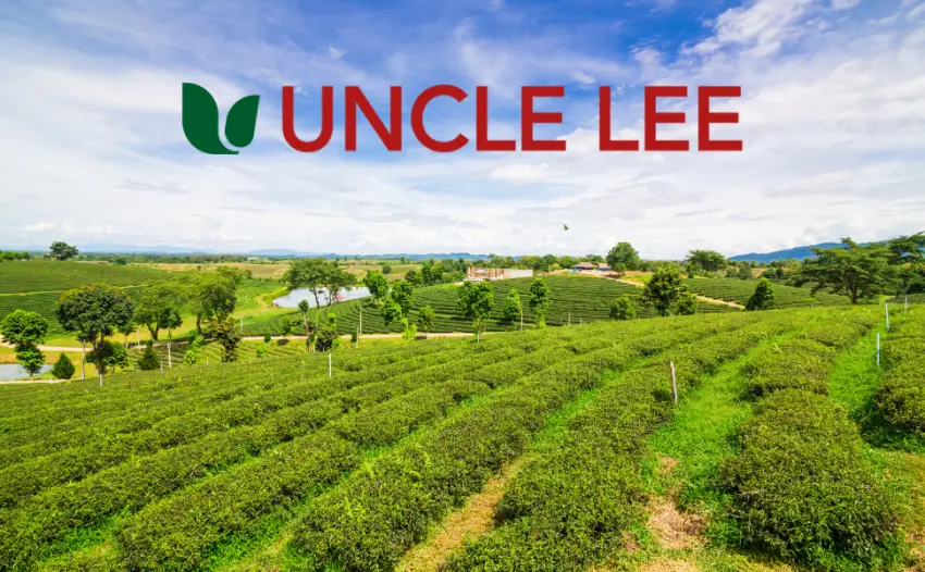 Uncle Lee's Tea Organic White Tea 100 Tea Bags 5.29 oz (150 g) - UL Store