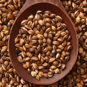 Teeccino Chicory Herbal Coffee Medium Roast Caffeine Free Hazelnut 11 oz (312 g) - Roasted barley is Italy