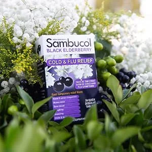 Sambucol Black Elderberry Cold & Flu Relief 30 Quick Dissolve Tablets - Sambucol Black Elderberry Cold & Flu Relief Tablets 30 ct