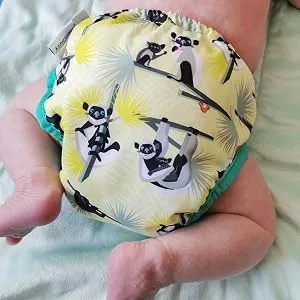 Close Pop-in Premium Bamboo Newborn Cloth Nappy - Soft Absorbent Reusable with Bear Print and Secure Aplix Fastener Bear Single - newborn nappy