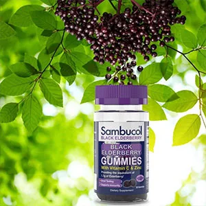 Sambucol Sambucol Black Elderberry 30 Gummies - Sambucol Black Elderberry Gummies 30 ct