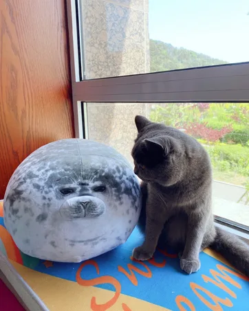 RUNYA Blob Seal Pillow Cute Chubby Seal Plush Toy Stuffed Animals S(11.8in) Style-a - product information 4