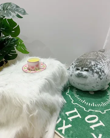 RUNYA Blob Seal Pillow Cute Chubby Seal Plush Toy Stuffed Animals S(11.8in) Style-a - product information 6