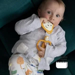 Matchstick Monkey Antimicrobial Teething Starter Set - 1 Flat Face Teether 1 Animal Teether 2 Silicone Finger Toothbrushes 3 Months Old+ Ludo Lion Ludo Lion Set 3 Months Old+ - Teething Starter Set