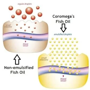 Coromega Omega-3 Orange Squeeze 120 Packets (2.5 g Each) - emulsification diagram, oil water emulsification, emulsified fish oil