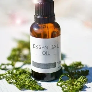 Sunfood MSM Lotion Tea Tree  8 fl oz (236.6 ml) - Essential oil