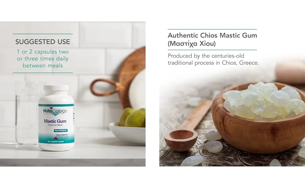 Nutricology Mastic Gum Chios Gum Mastic 240 Vegetarian Capsules - 57370
