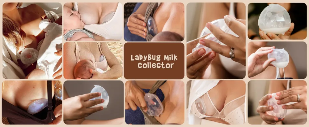haakaa Ladybug Breast Milk Collector Breast Shells Milk Saver Nursing Cups for Large Milk Supply Replace Disposable Breast Pads Reusable & Wearable (150ml 1 Pc) Clear 150ml*1 - haakaa