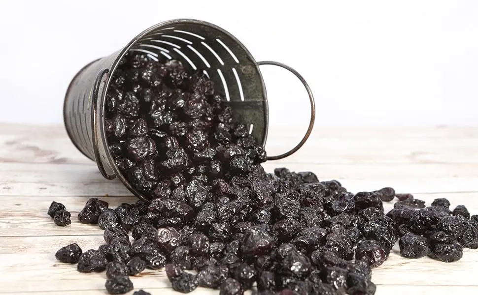 Stoneridge Orchards Organic Blueberries 4 oz (113 g) - organic dried blueberries
