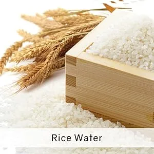 The Face Shop Rice Water Bright Foaming Cleanser 5.0 fl oz (150 ml) - rice water