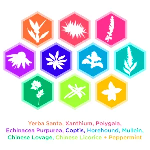 Rainbow Light Counter Attack Immune Support 90 Tablets - boost;blend;potent;curcumin;chikdrens;antioxidant;ranibow;probiotic;gummies;rainbown;booster;multi