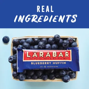 Larabar Chocolate Chip Cookie Dough 16 Bars 1.6 oz (45 g) Each - Larabar Blueberry Muffin Fruit and Nut Bar