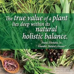 Nature's Answer Bacopa 500 mg 90 Vegetarian Capsules - Bacopa Herb Standardized Bacopa
