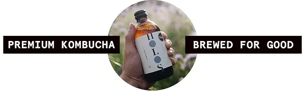 HOLOS Premium Kombucha Classic 12 x 330ml Bottles | Authentic Small-Batch Kombucha Low-Sugar & Unpasteurised Hand-Crafted All-Natural Ingredients - holos kombucha brewed for good elderflower ginger hibiscus citra hops classic