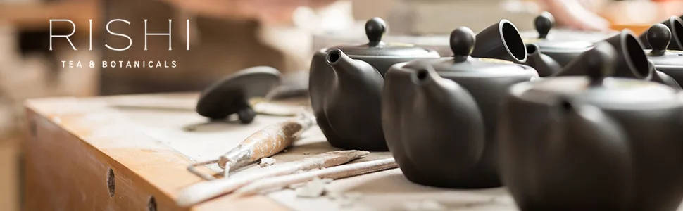 Rishi Tea Simple Brew Loose Leaf Teapot 13.5 fl oz (400 ml) - rishi tea
