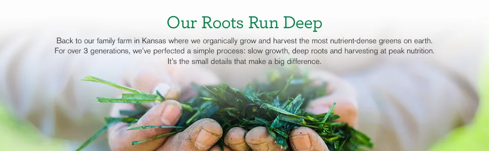 Amazing Grass Organic Wheat Grass Tablets 200 Tablets - Our Roots Run Deep