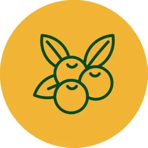 MegaFood Complex C 90 Tablets - megafood
