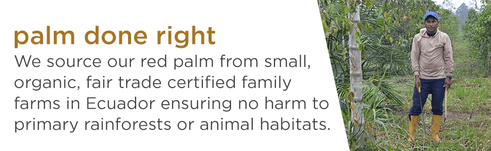 Nutiva Organic Shortening Original Red Palm and Coconut Oils 15 oz (425 g) - product information 4