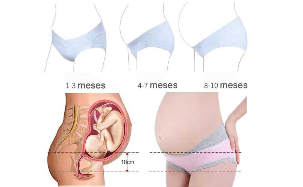 FEOYA Maternity Shorts Knickers High Elastic Cotton Safety Shorts Pants 2pcs 2XL (132-165) Low Wait 01 - Bragas de Maternidad