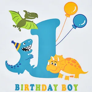 AMZTM 1st Boy Dinosaur Birthday Shirt Dinosaur First Birthday Outfits for Toddler Baby 90 White - product information 28