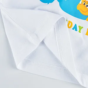 AMZTM 1st Boy Dinosaur Birthday Shirt Dinosaur First Birthday Outfits for Toddler Baby 90 White - product information 29